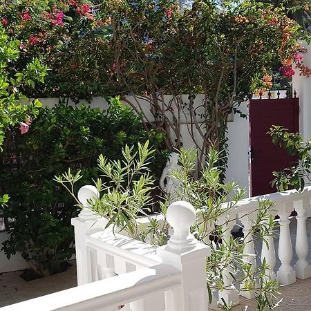 Apartamento Luminoso Con Patio Y Jardin Puerto de la Cruz  Exterior foto