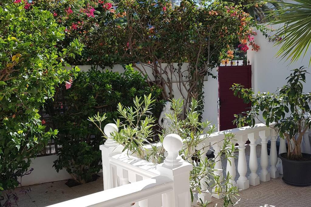 Apartamento Luminoso Con Patio Y Jardin Puerto de la Cruz  Exterior foto