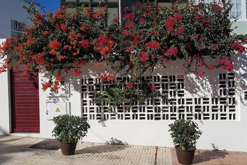Apartamento Luminoso Con Patio Y Jardin Puerto de la Cruz  Exterior foto